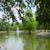 pond waterfall kit, waterfall pond, backyard build pond waterfall.
